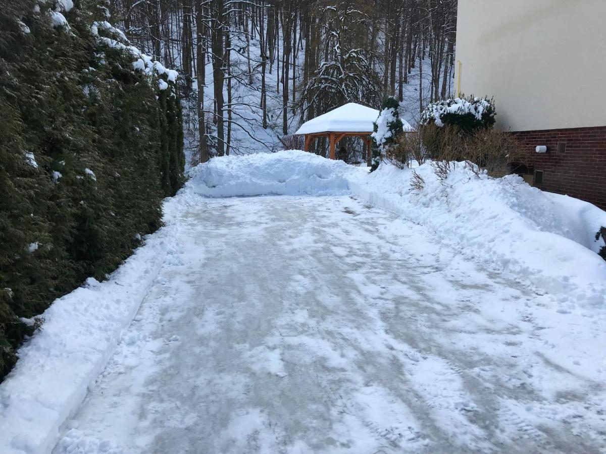 Julie 1 Appartement Svoboda nad Úpou Buitenkant foto